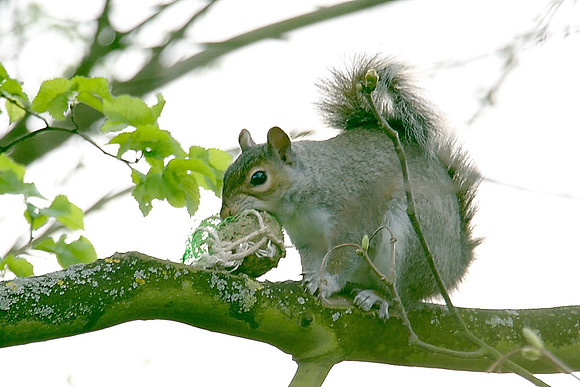 Tastes good!