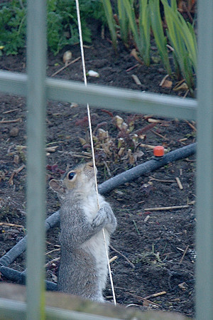 Hmm - a little nibbling should do it